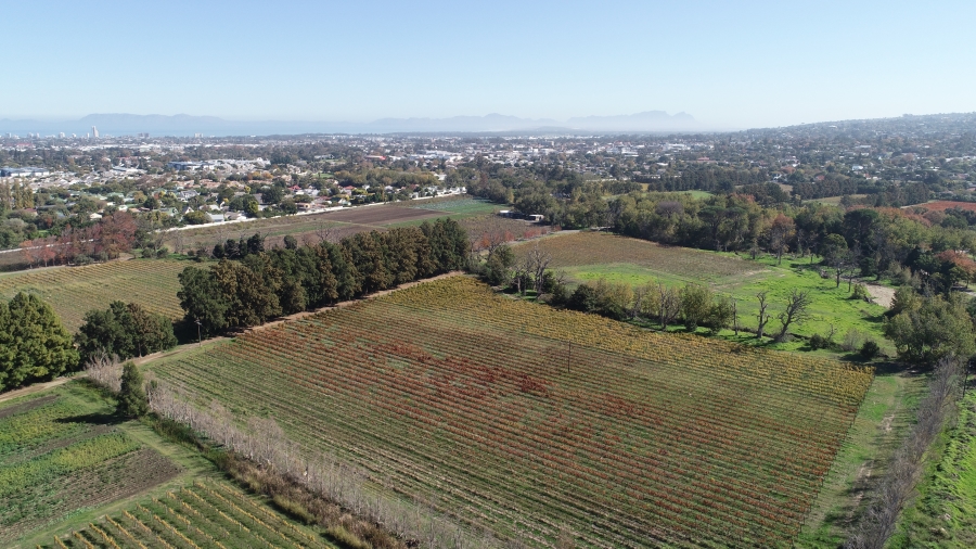 5 Bedroom Property for Sale in Stellenbosch Farms Western Cape